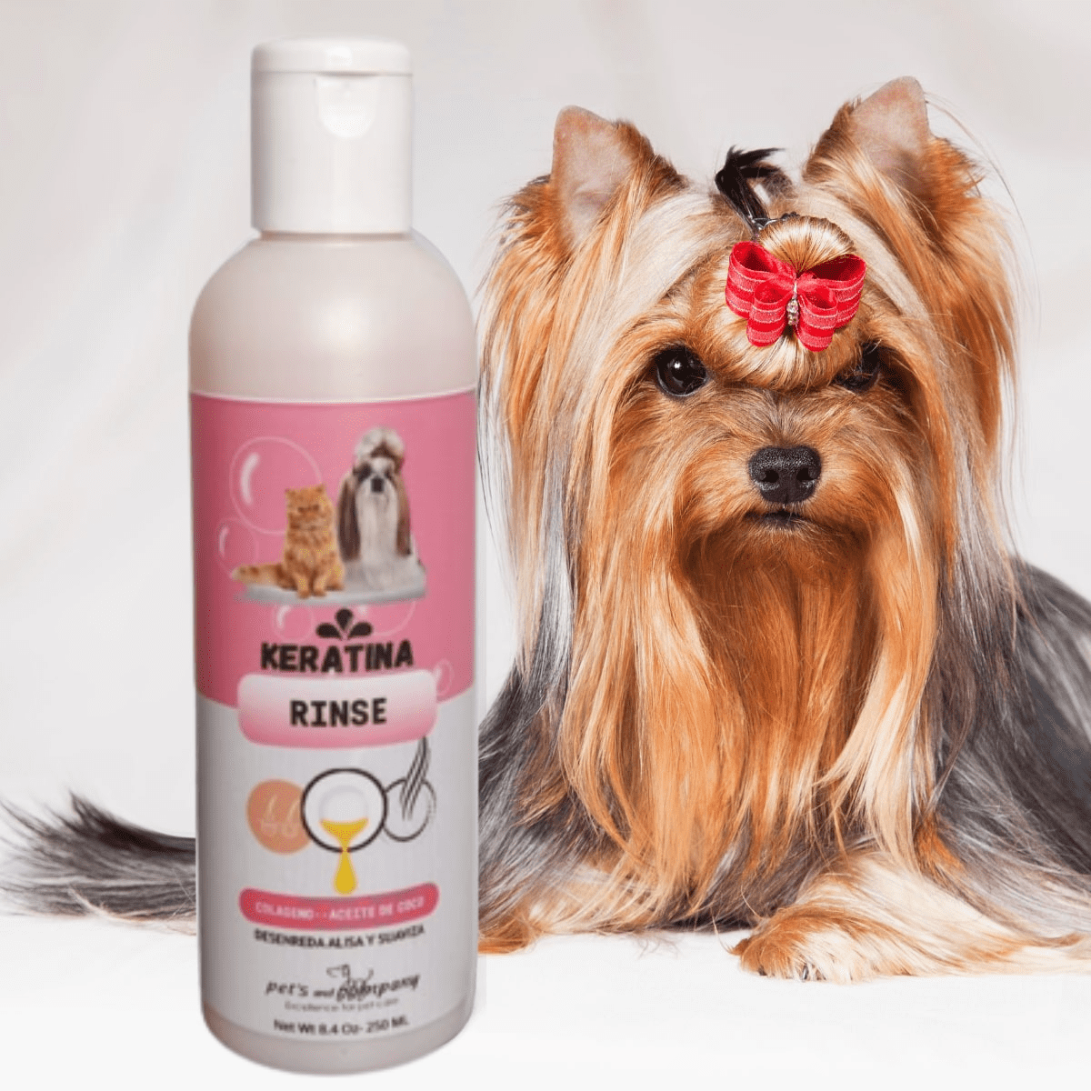Rinse Keratina.Tu AMiGo PeLuDo te lo agradecerá🐶😺
